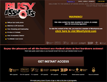 Tablet Screenshot of busyassholes.com